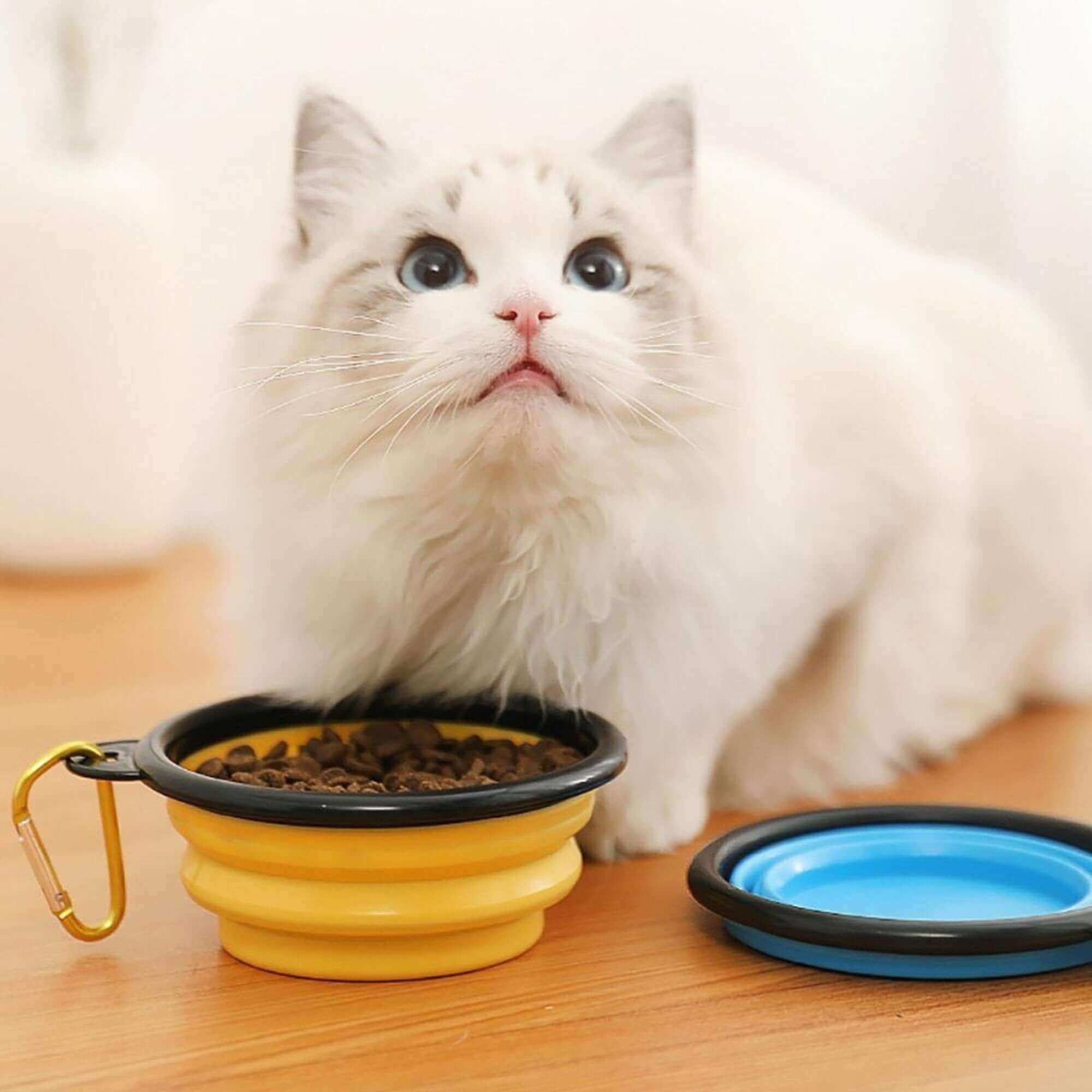 1000ML Silicone Dog &amp; Cat Feeder Bowl - Paws For Baby