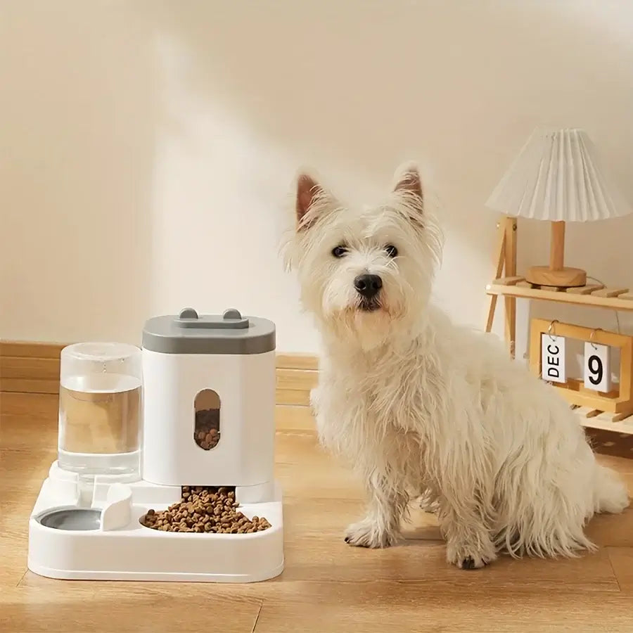 Automatic Feeder &amp; Water Bowl 🐾 Raised Pet Stand