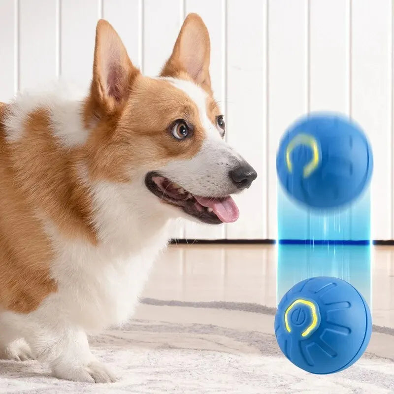 Interactive Smart Dog Toy Ball 🐾 Fun &amp; Durable!