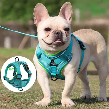 &quot;Adjustable No-Pull Dog Harness for Small Pets 🐾✨&quot;