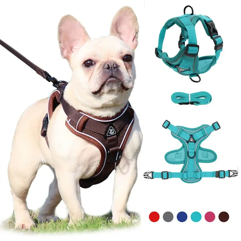 &quot;Adjustable No-Pull Dog Harness for Small Pets 🐾✨&quot;