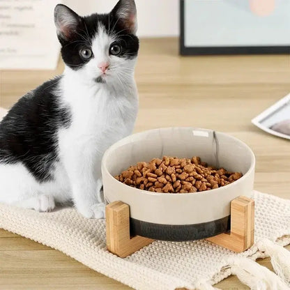 &quot;Ceramic Pet Bowls with Wooden No-Spill Stand&quot;