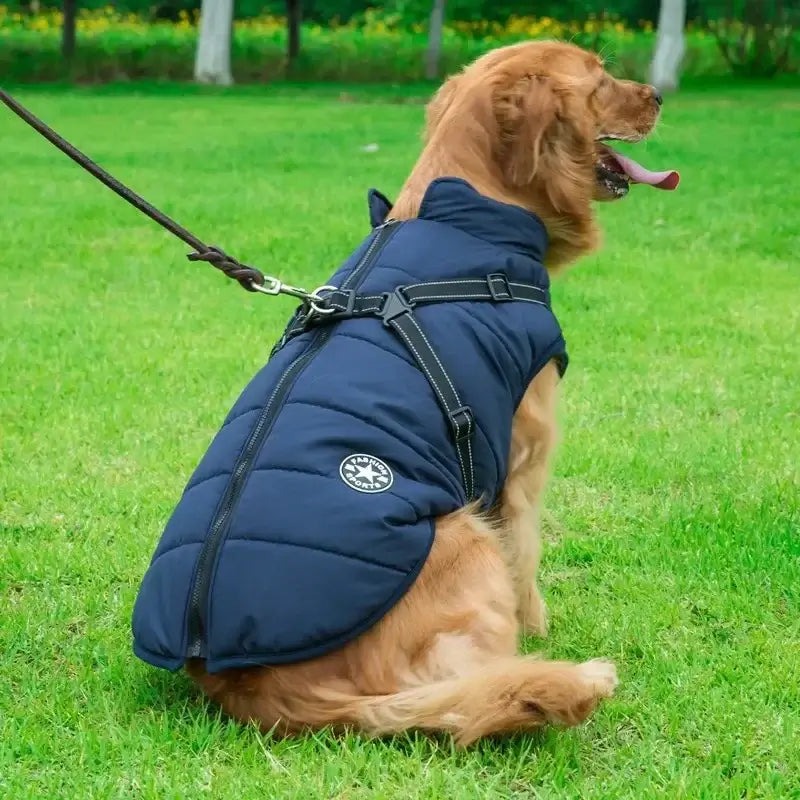 Waterproof Warm Dog Jacket with Harness for All Dogs