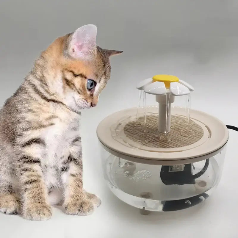 Transparent Automatic Cat Water Fountain – USB Powered