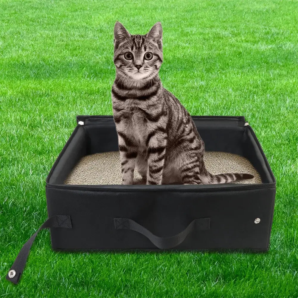 &quot;Foldable Cat Litter Box: Portable &amp; Waterproof Travel Tray&quot; - Paws For Baby