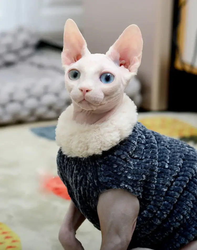 Thick Plush Sweater for Devon Rex &amp; Sphynx Cats