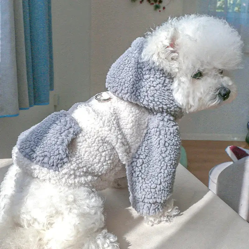 Winter sweatshirt for small dogs