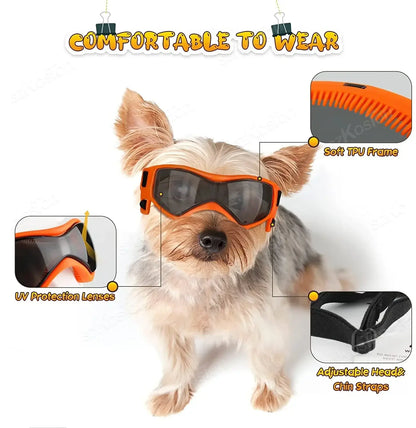 Dog Goggles – UV Protection for Small &amp; Medium Breeds