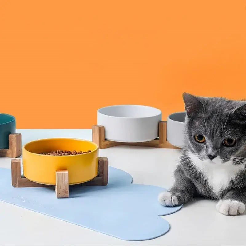 &quot;Ceramic Pet Bowls with Wooden No-Spill Stand&quot;