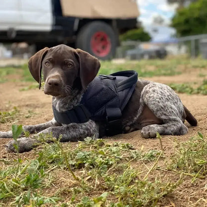 &quot;Tactical Dog Vest – Splashproof Nylon, Adjustable Harness for Medium &amp; Large Dogs&quot; - Paws For Baby