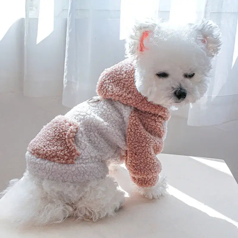 Fashion hoodie for small dogs and cats.