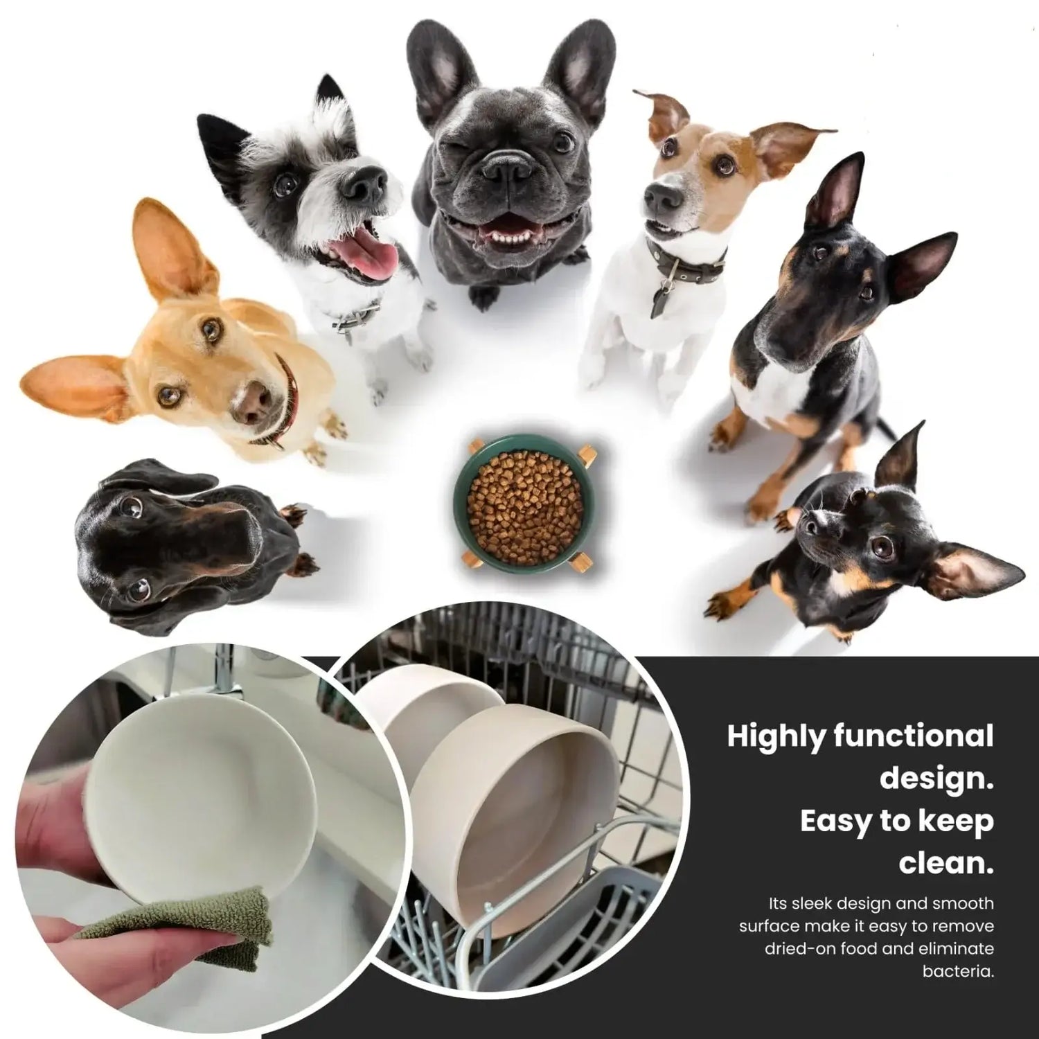 Ceramic Cat Bowl Dog Feeding Bowl - Paws For Baby