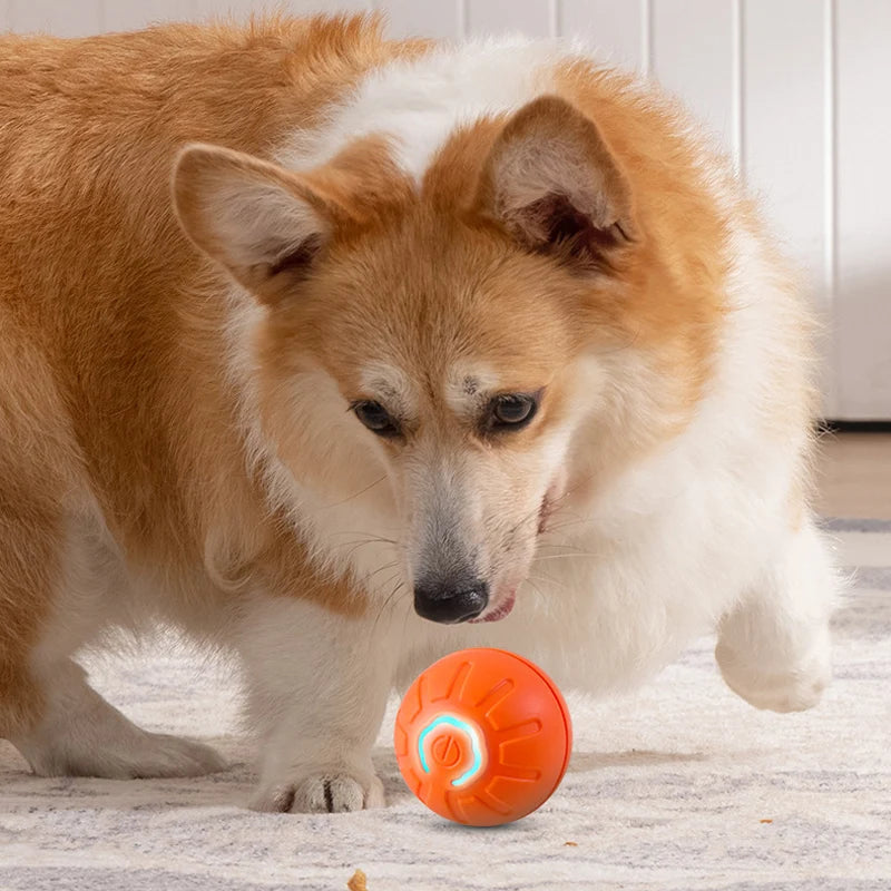 Interactive Smart Dog Toy Ball 🐾 Fun &amp; Durable!