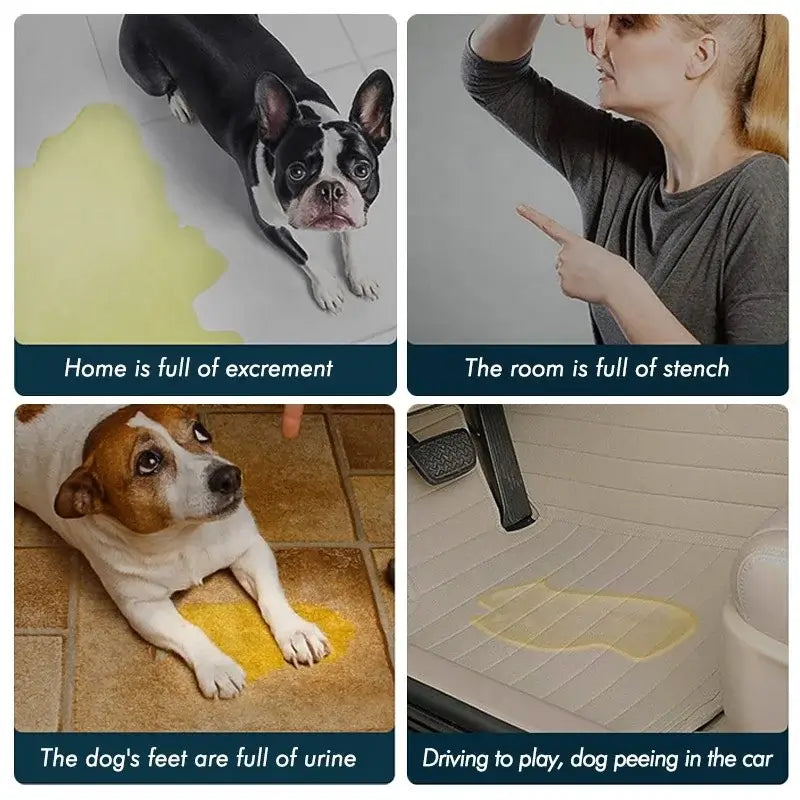 Waterproof Washable Pet Urine Pad – Reusable &amp; Durable