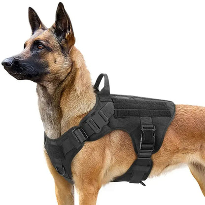 Durable Harness and Leash Set for Large Dogs