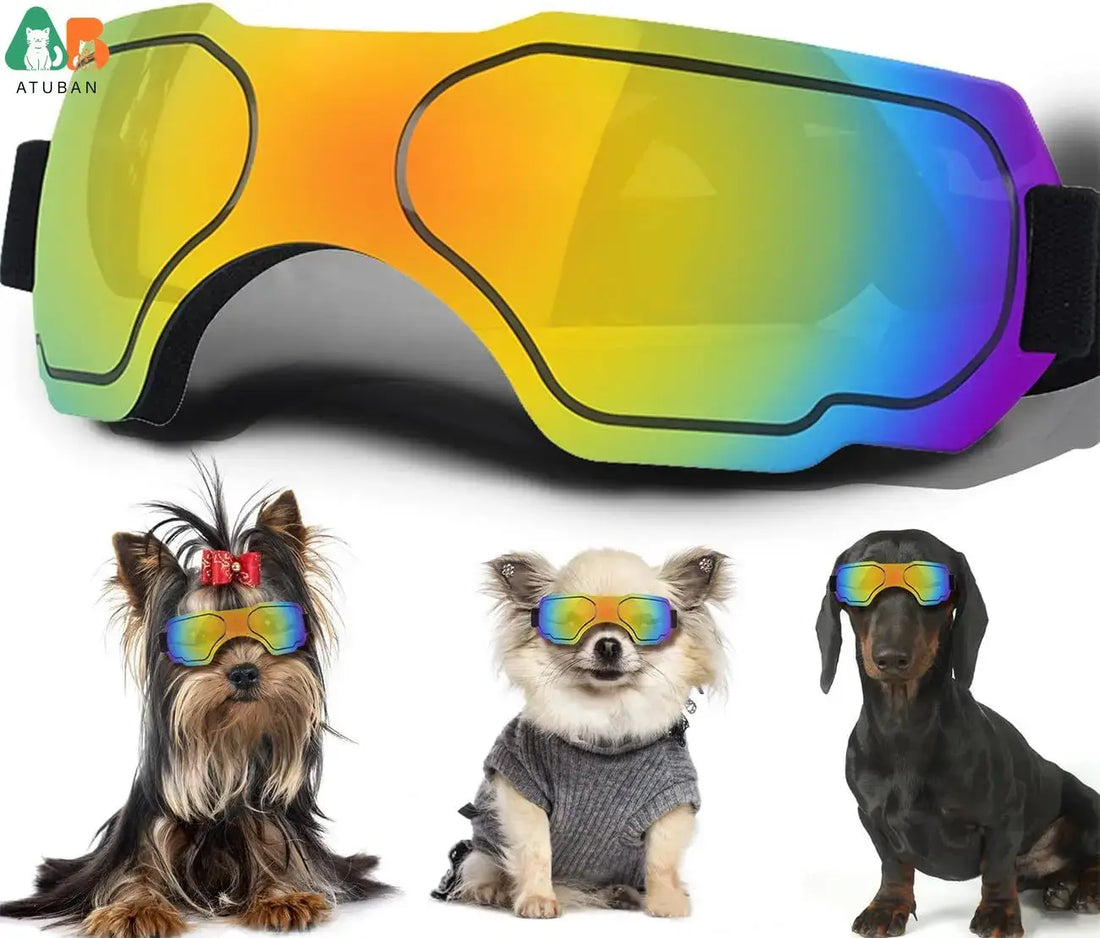 Small Dog Goggles – UV Protection &amp; Adjustable Strap