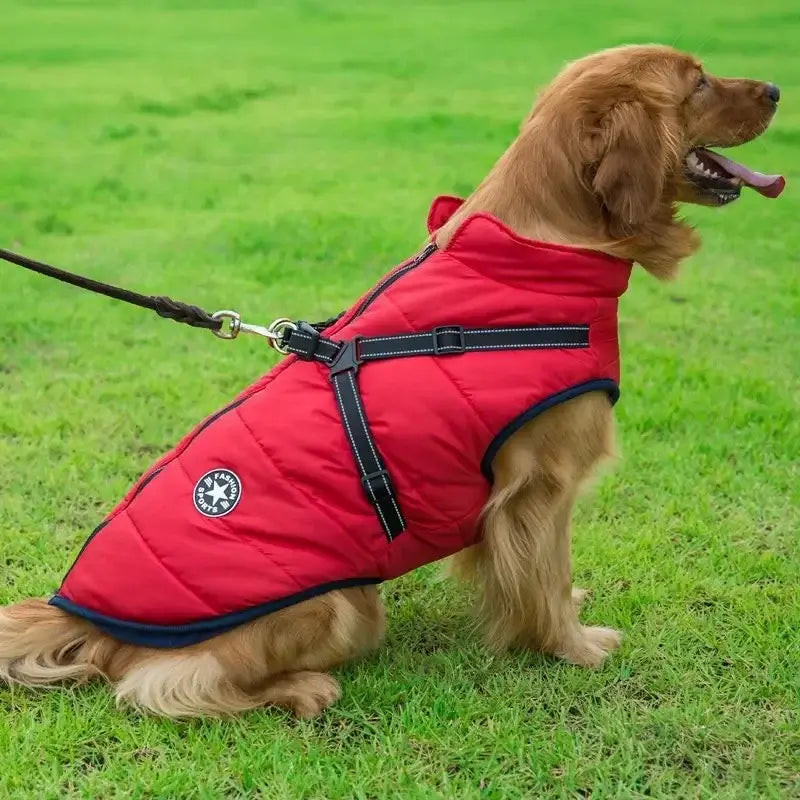 Waterproof Warm Dog Jacket with Harness for All Dogs