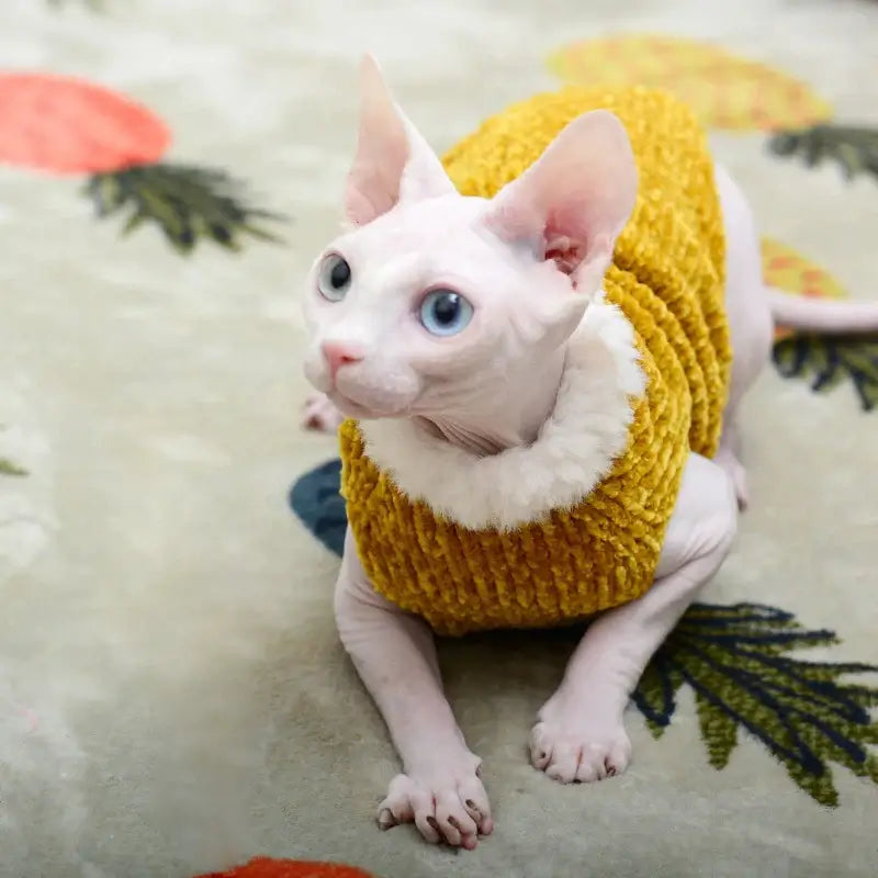 Thick Plush Sweater for Devon Rex &amp; Sphynx Cats