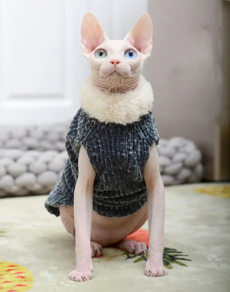 Thick Plush Sweater for Devon Rex &amp; Sphynx Cats