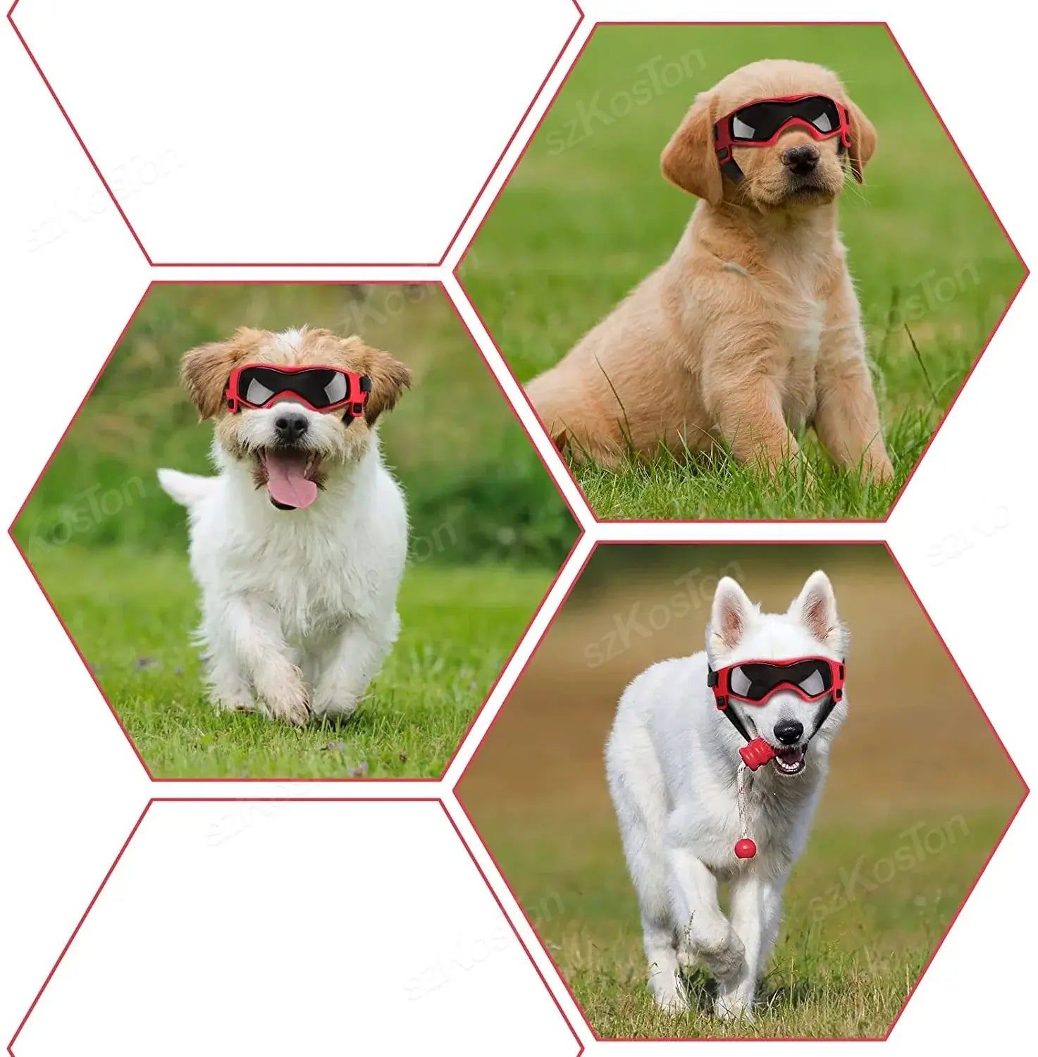 Dog Goggles – UV Protection for Small &amp; Medium Breeds