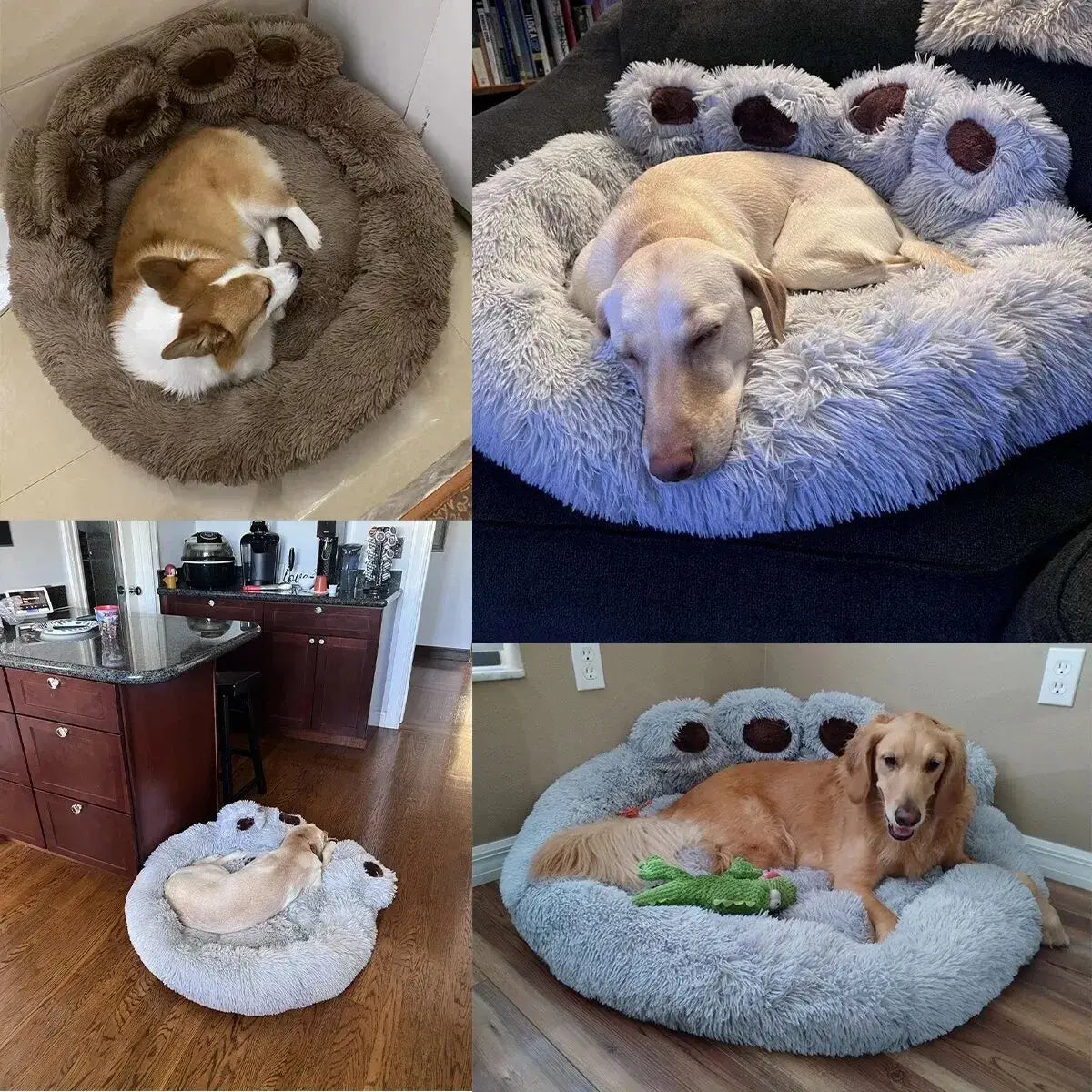 Bear Paw Shaped Pet Bed, Comfortable and Soft