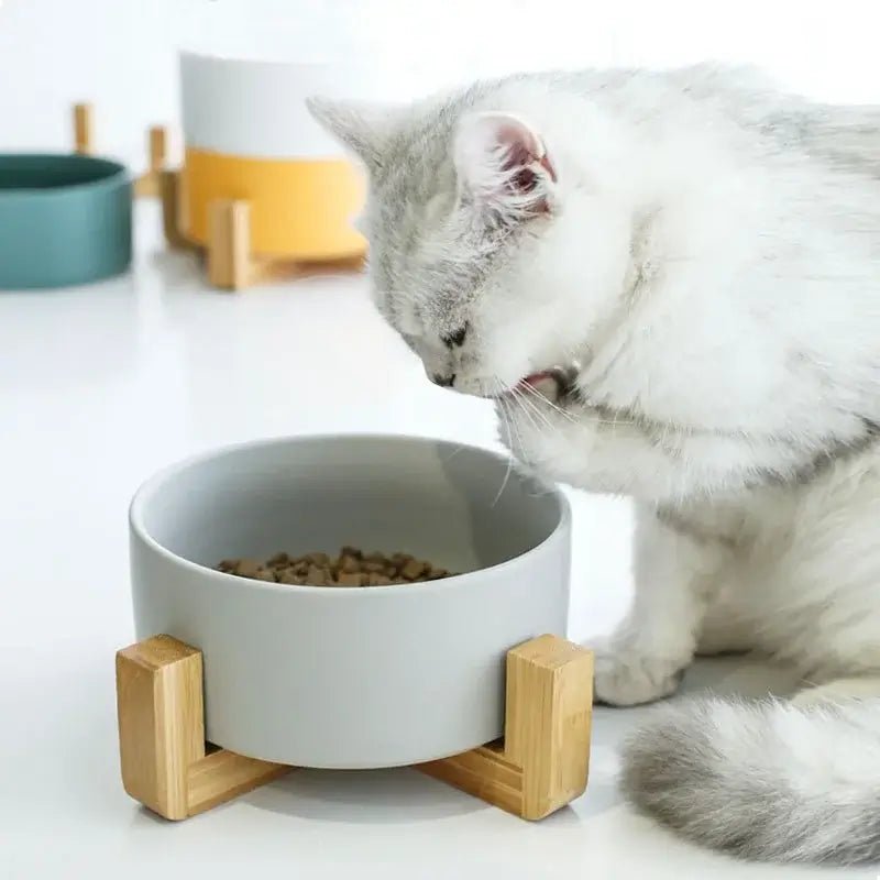 Ceramic Cat Bowl Dog Feeding Bowl - Paws For Baby