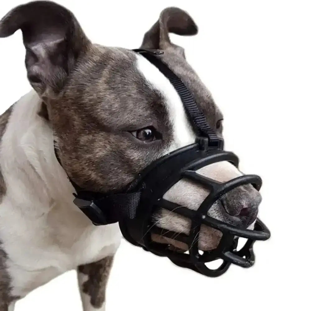 &quot;Soft Silicone Dog Muzzle – Breathable &amp; Comfortable for All Dog Sizes&quot; - Paws For Baby