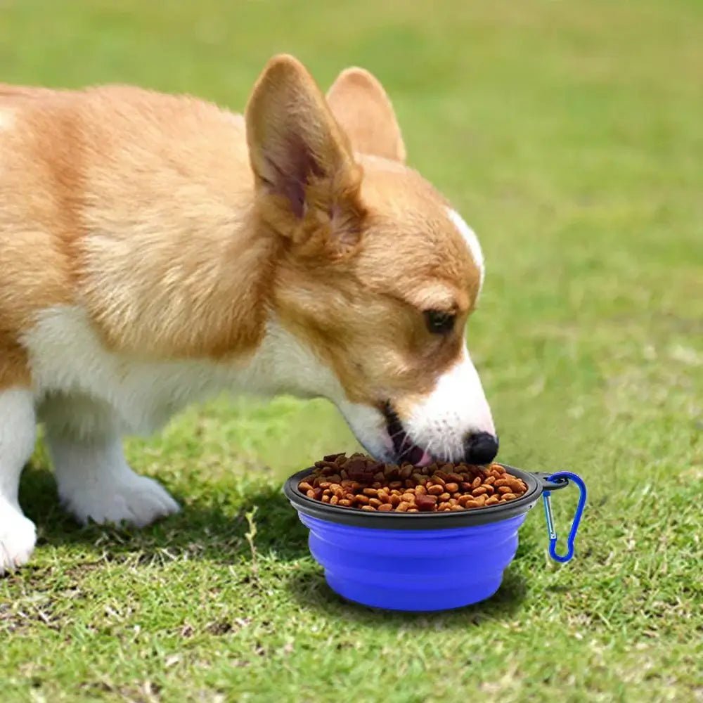 1000ML Silicone Dog &amp; Cat Feeder Bowl - Paws For Baby