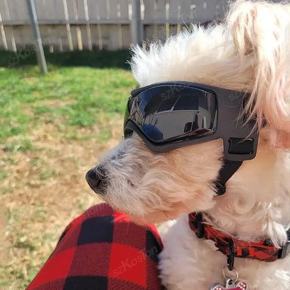 Dog Goggles – UV Protection for Small &amp; Medium Breeds