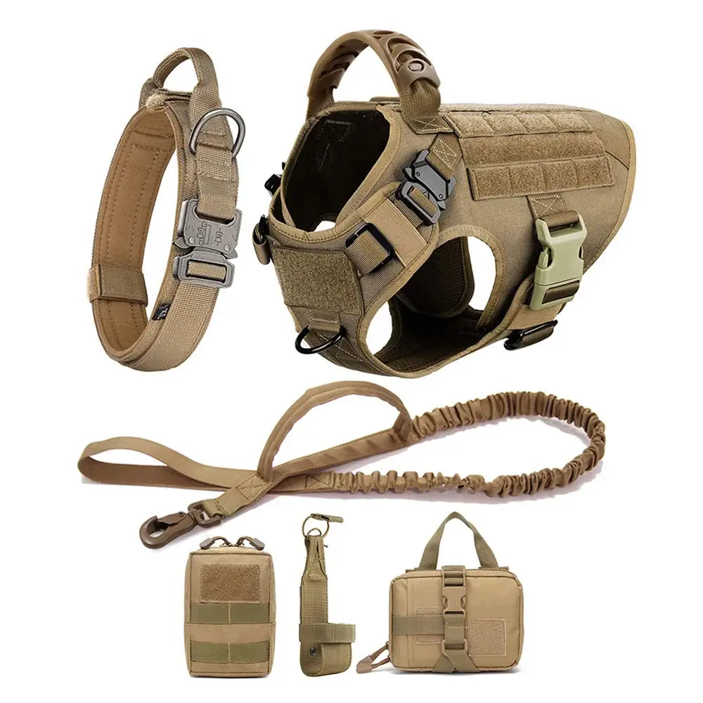 Durable Harness and Leash Set for Large Dogs