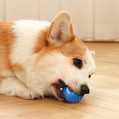 Interactive Smart Dog Toy Ball 🐾 Fun &amp; Durable!