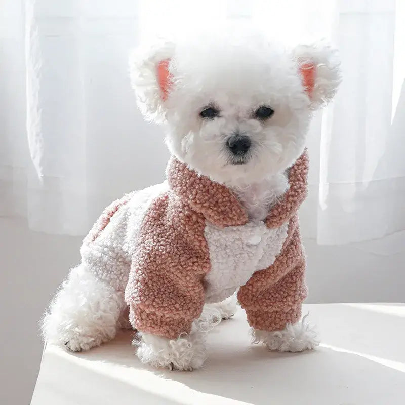 Fashion hoodie for small dogs and cats.