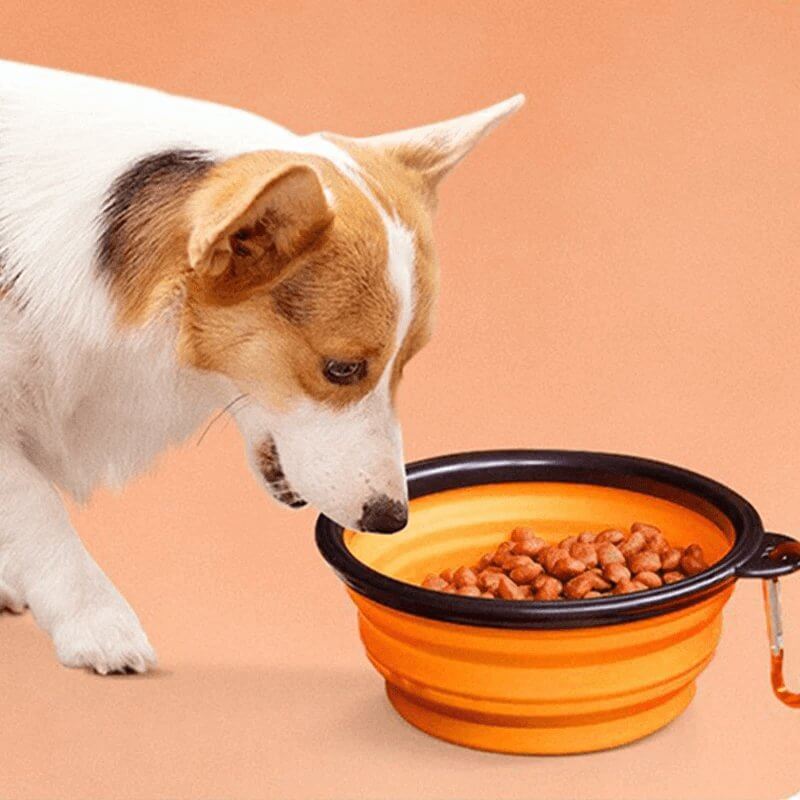 1000ML Silicone Dog &amp; Cat Feeder Bowl - Paws For Baby